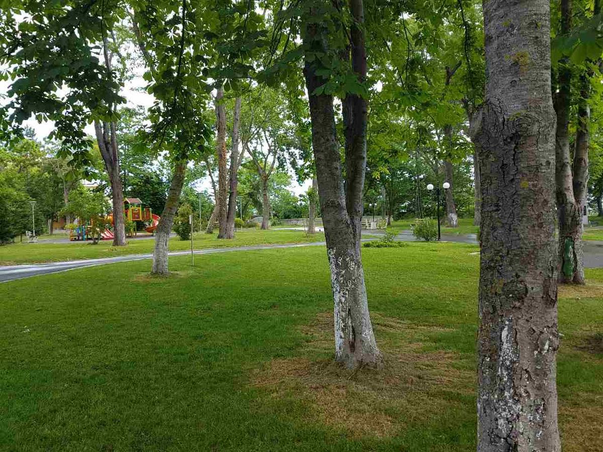Villa Salena Primorszko Kültér fotó